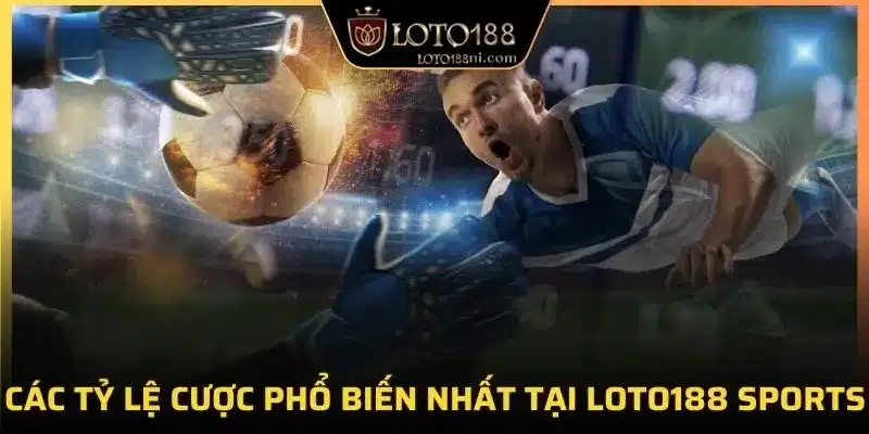 Các tỷ lệ cược phổ biến nhất tại loto188 sports