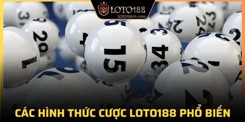 Một số loại hình cá cược khác phổ biến tại loto188